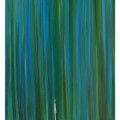 la foresta e l'uomo -olio 50x70- 2011